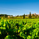 Vignoble Rhône_sh