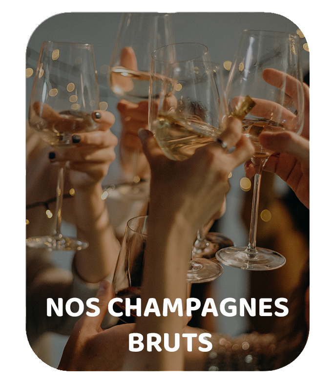 Nos Champagnes Bruts