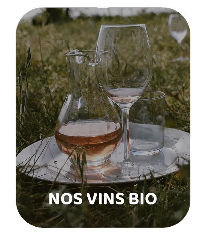 Nos Vins BIO