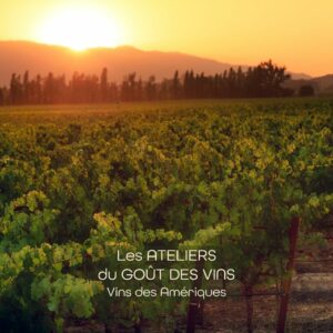 #261029 Atelier Dégustation Vins des Amériques - 29.10.26
