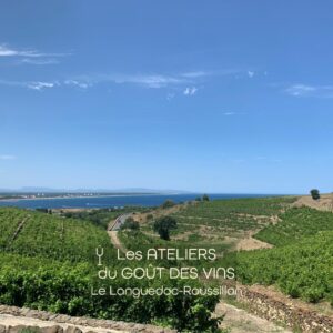 #260430 - Atelier Dégustation - Languedoc-Roussillon 30.04.2026