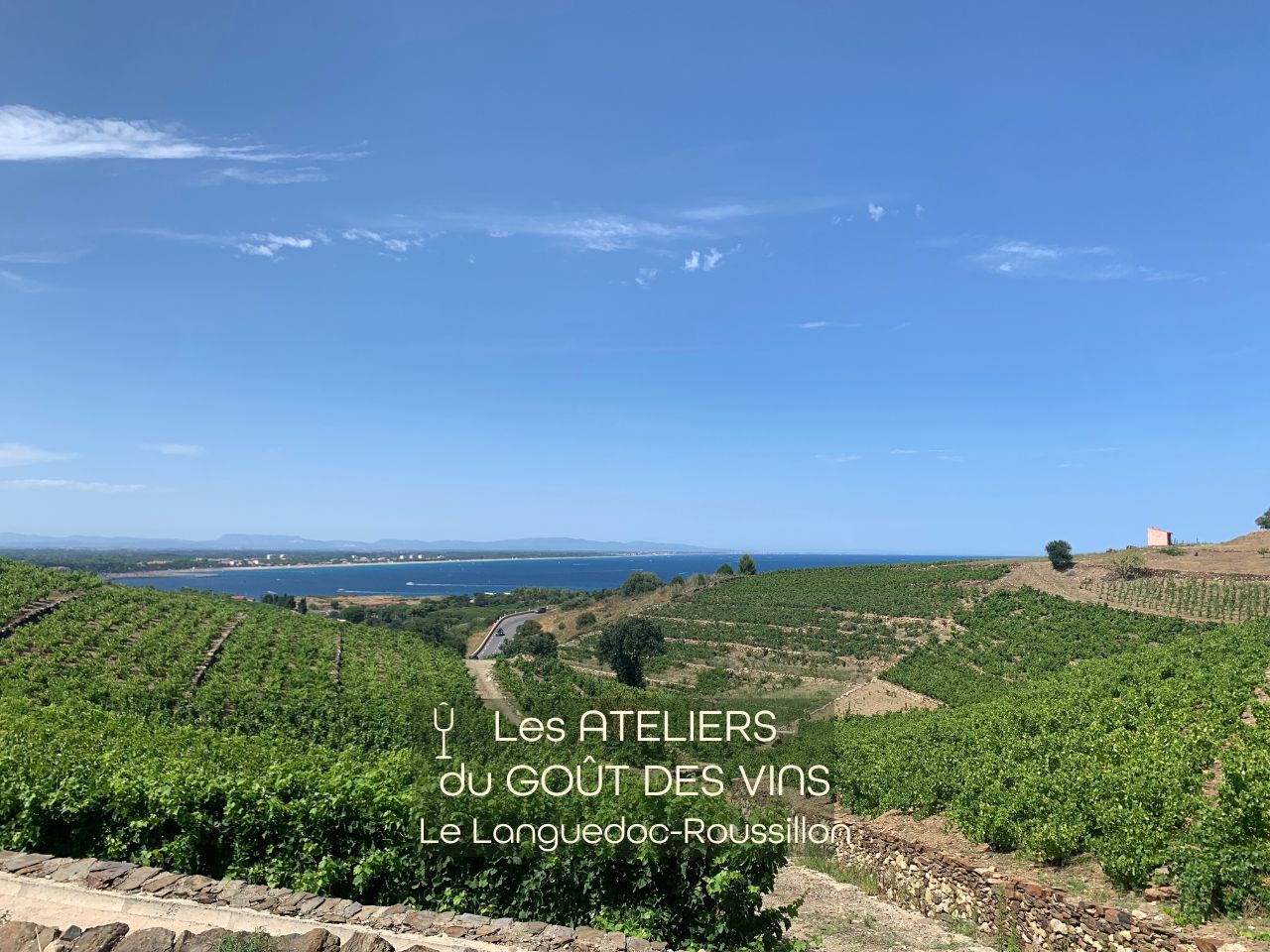 #260430 - Atelier Dégustation - Languedoc-Roussillon 30.04.2026