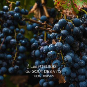 #260305 Atelier Dégustation 100% Malbec - 05.03.2026