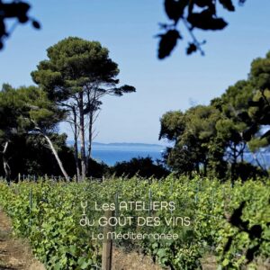 #260611 Atelier Dégustation Vins de la Méditerranée - 11.06.2026