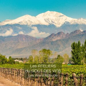 #260205 Atelier Dégustation Vins D'Altitude - 05.02.2026