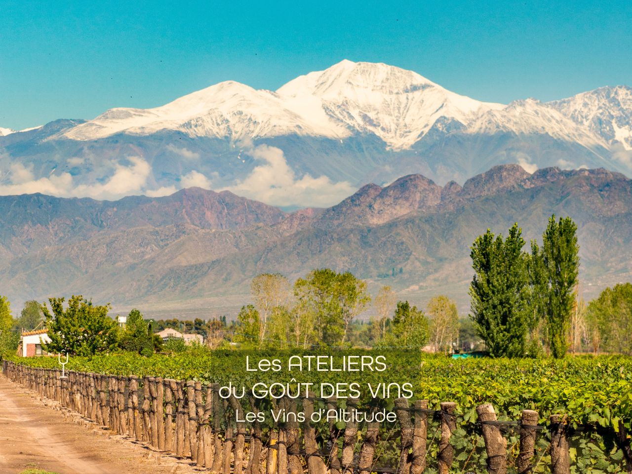 #260205 Atelier Dégustation Vins D'Altitude - 05.02.2026